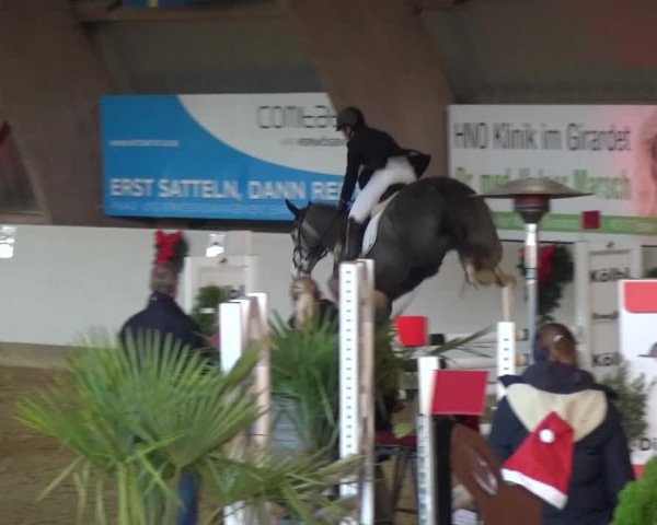 Winterchampionat Essen-Stadtwald 2016