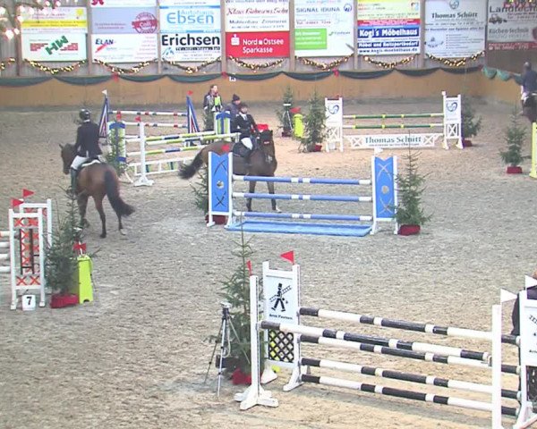 Reitturnier Leck 2016
