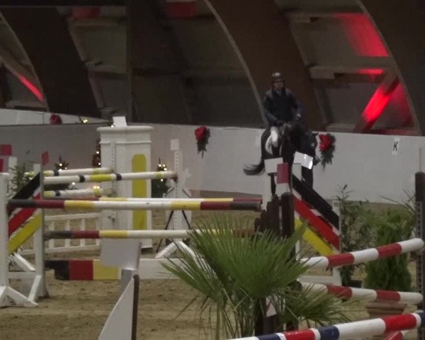 Winterchampionat Essen-Stadtwald 2016