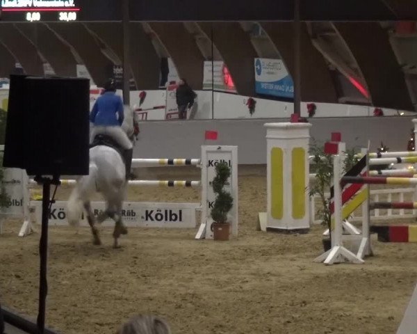 Winterchampionat Essen-Stadtwald 2016
