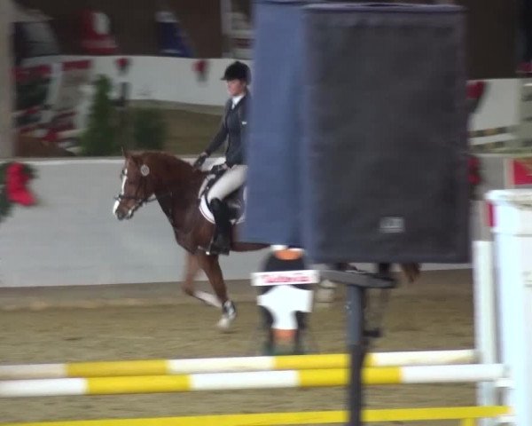 Winterchampionat Essen-Stadtwald 2016