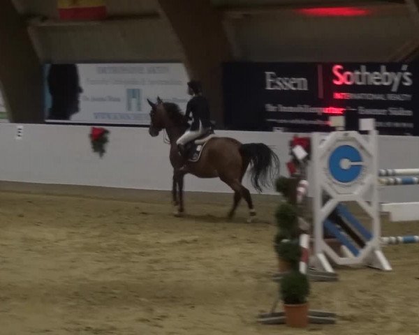 Winterchampionat Essen-Stadtwald 2016