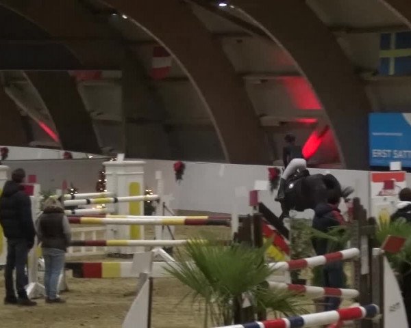 Winterchampionat Essen-Stadtwald 2016
