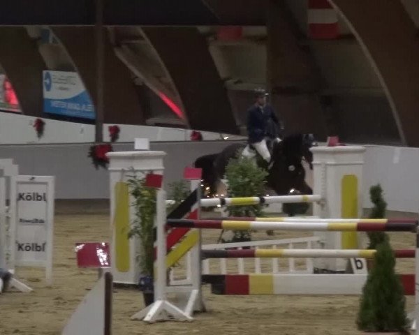 Winterchampionat Essen-Stadtwald 2016