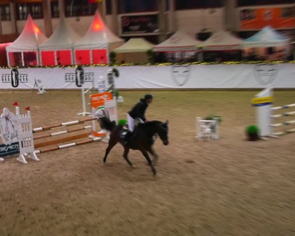 Christmas Jumping Trophy Prussendorf 2021