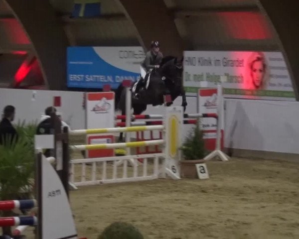 Winterchampionat Essen-Stadtwald 2016