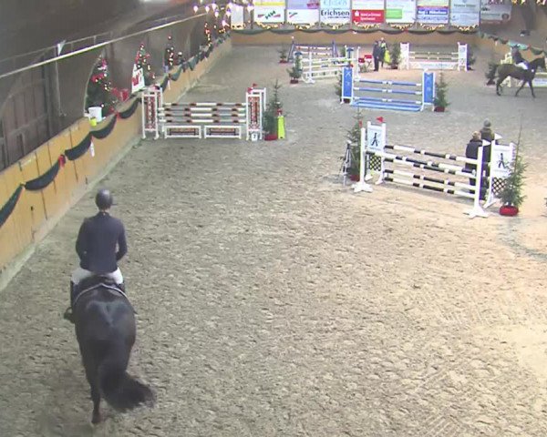 Reitturnier Leck 2016