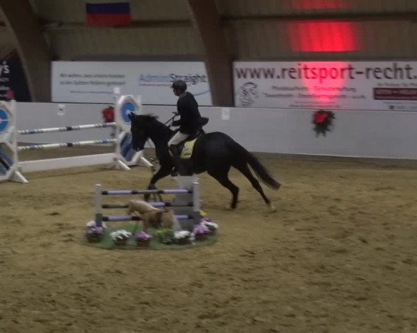 Winterchampionat Essen-Stadtwald 2016