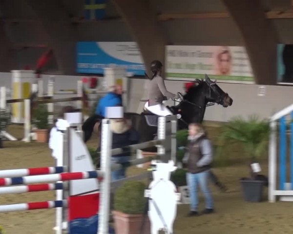 Winterchampionat Essen-Stadtwald 2016