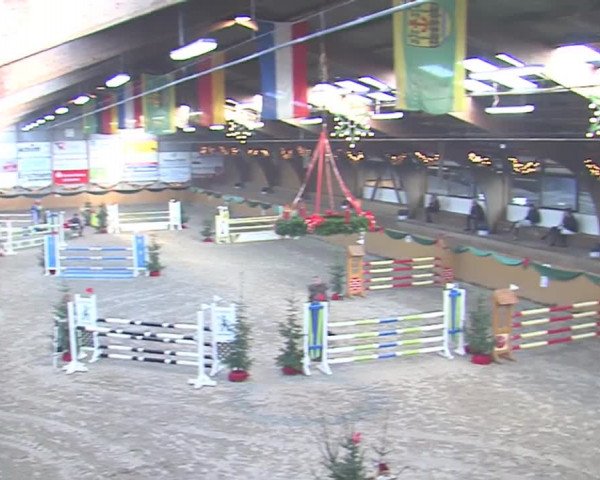 Reitturnier Leck 2016