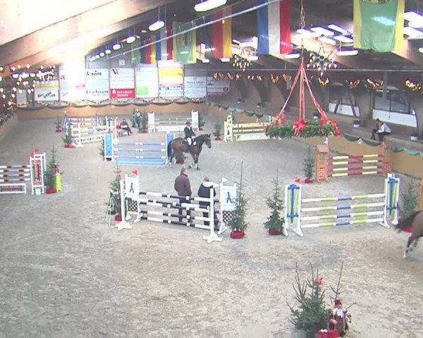 Reitturnier Leck 2016