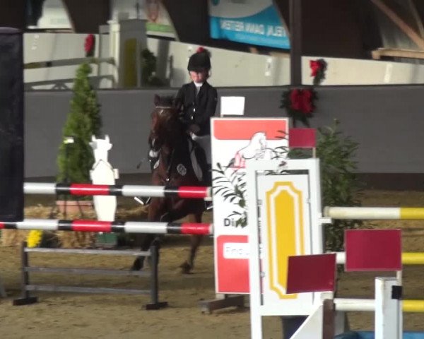 Winterchampionat Essen-Stadtwald 2016