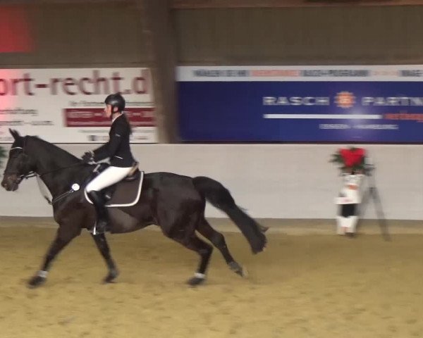 Winterchampionat Essen-Stadtwald 2016