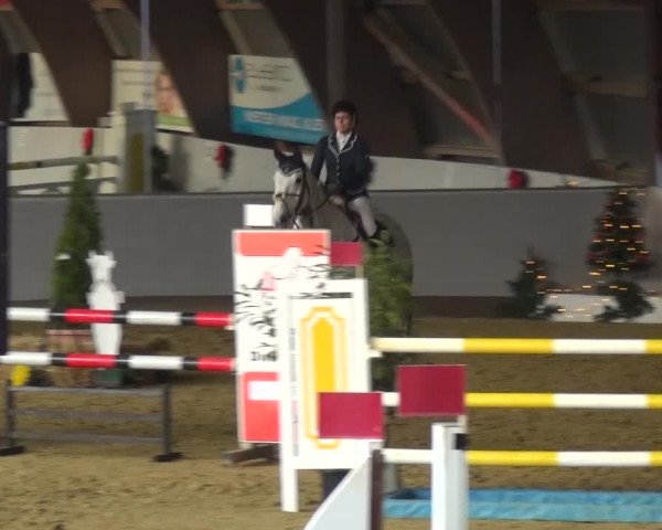 Winterchampionat Essen-Stadtwald 2016