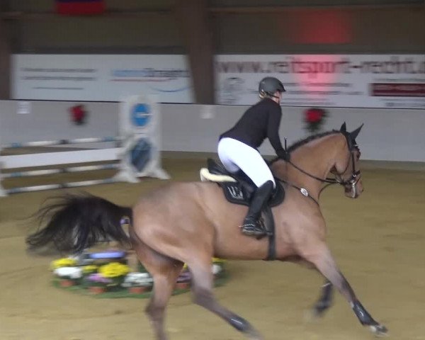 Winterchampionat Essen-Stadtwald 2016
