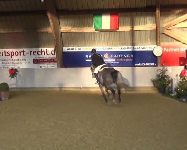 Winterchampionat Essen-Stadtwald 2016