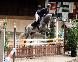 jumper China 24 (Oldenburg, 2013, from Christian 25)