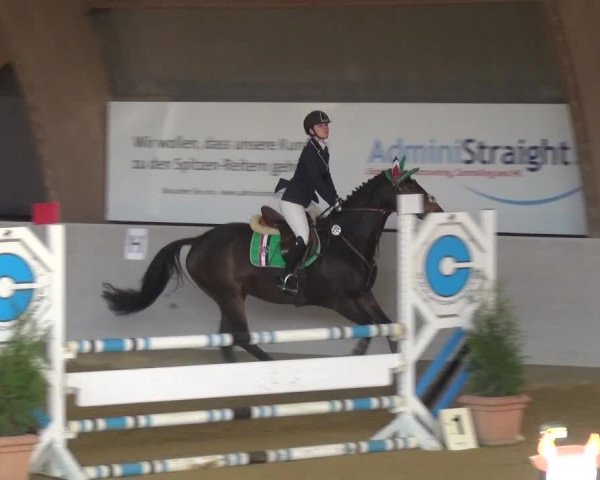 Winterchampionat Essen-Stadtwald 2016