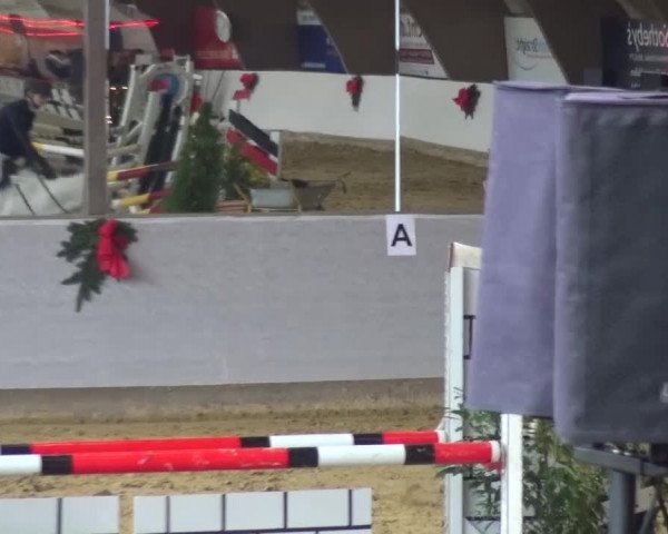 Winterchampionat Essen-Stadtwald 2016