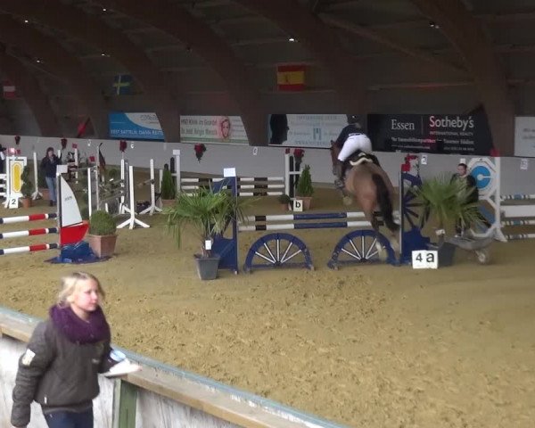 Winterchampionat Essen-Stadtwald 2016