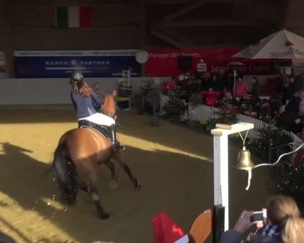 Winterchampionat Essen-Stadtwald 2016