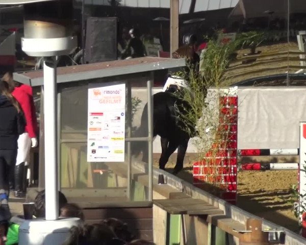 Winterchampionat Essen-Stadtwald 2016