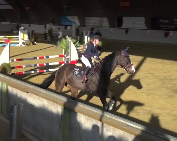 Winterchampionat Essen-Stadtwald 2016