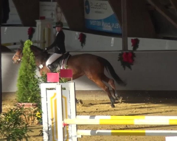 Winterchampionat Essen-Stadtwald 2016