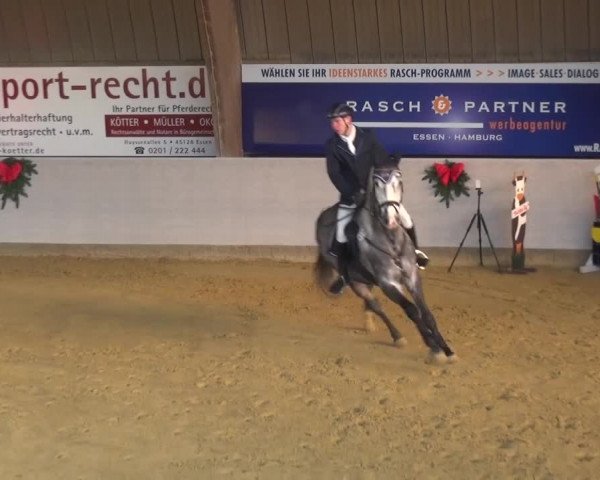 Winterchampionat Essen-Stadtwald 2016