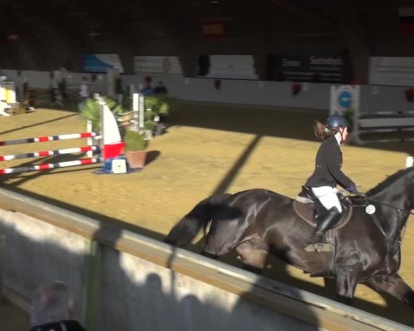 Winterchampionat Essen-Stadtwald 2016