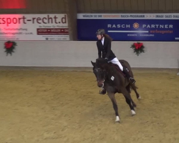 Winterchampionat Essen-Stadtwald 2016