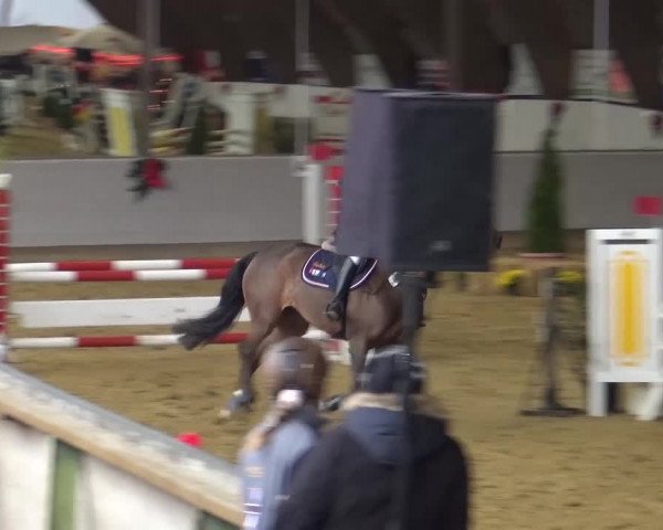 Winterchampionat Essen-Stadtwald 2016
