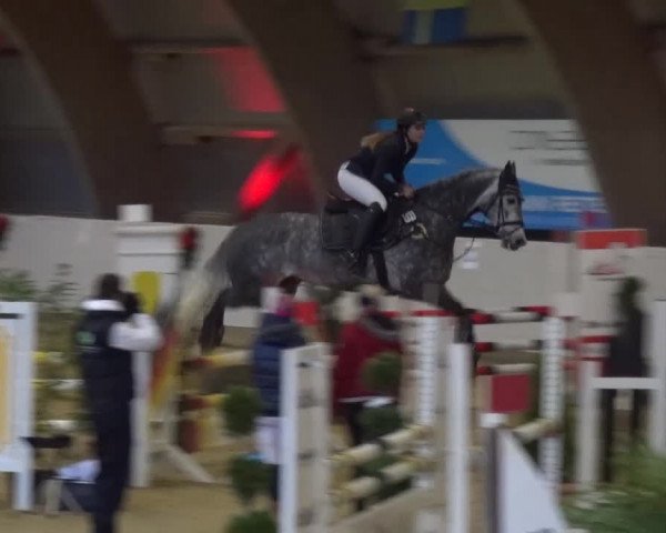Winterchampionat Essen-Stadtwald 2016