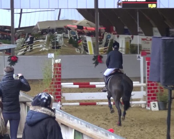 Winterchampionat Essen-Stadtwald 2016