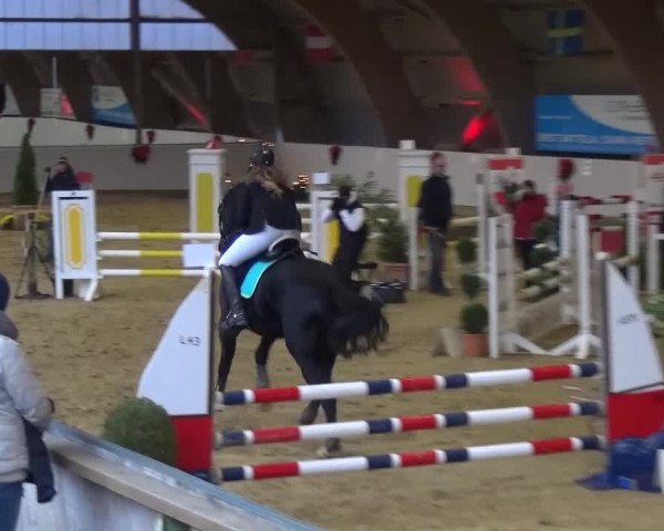 Winterchampionat Essen-Stadtwald 2016