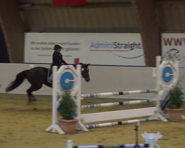 Winterchampionat Essen-Stadtwald 2016