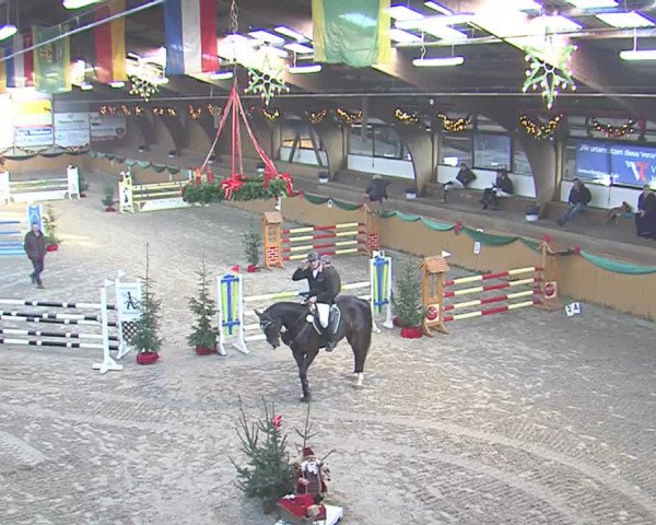 Reitturnier Leck 2016