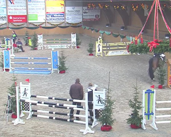 Reitturnier Leck 2016