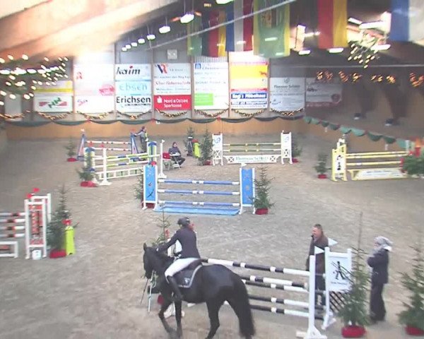 Reitturnier Leck 2016