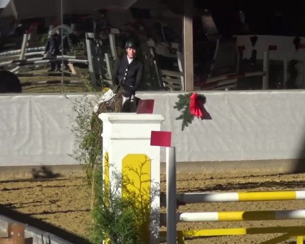 Winterchampionat Essen-Stadtwald 2016