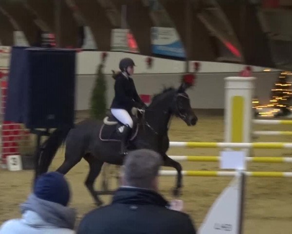 Winterchampionat Essen-Stadtwald 2016
