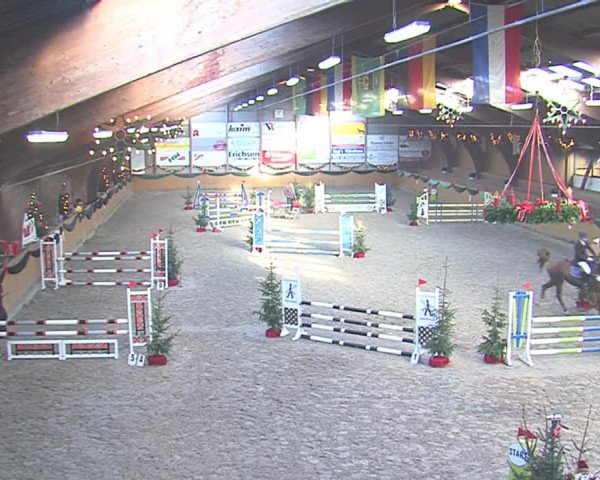 Reitturnier Leck 2016