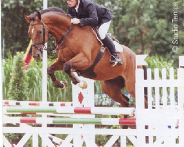 Pferd Ovidius van het Merelsnest (Belgisches Warmblut, 1991, von Lys de Darmen)