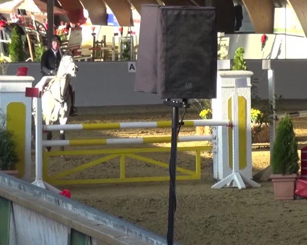 Winterchampionat Essen-Stadtwald 2016