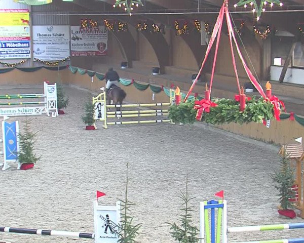 Reitturnier Leck 2016