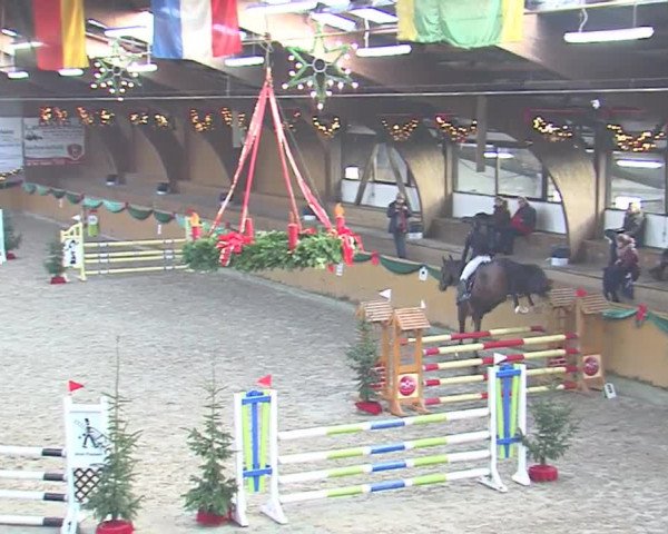 Reitturnier Leck 2016