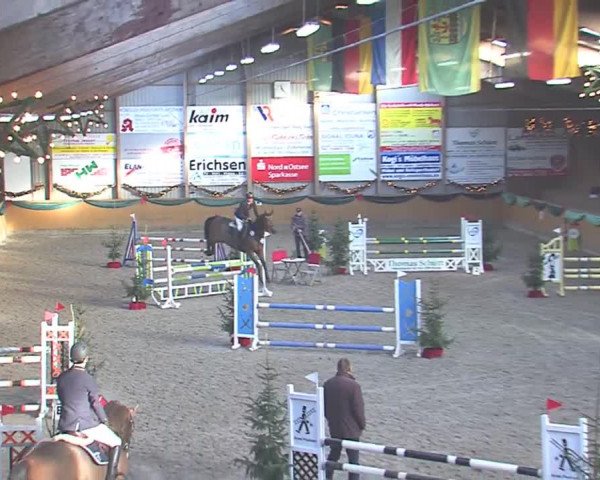 Reitturnier Leck 2016