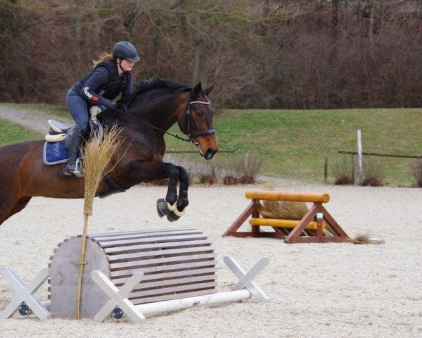jumper Deena (Württemberger, 2003, from Der Classiker)