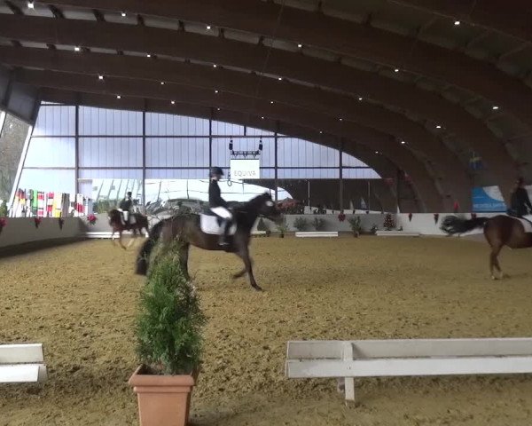 Winterchampionat Essen-Stadtwald 2016