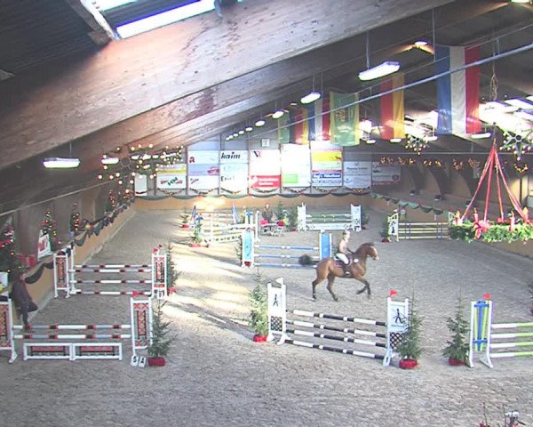 Reitturnier Leck 2016